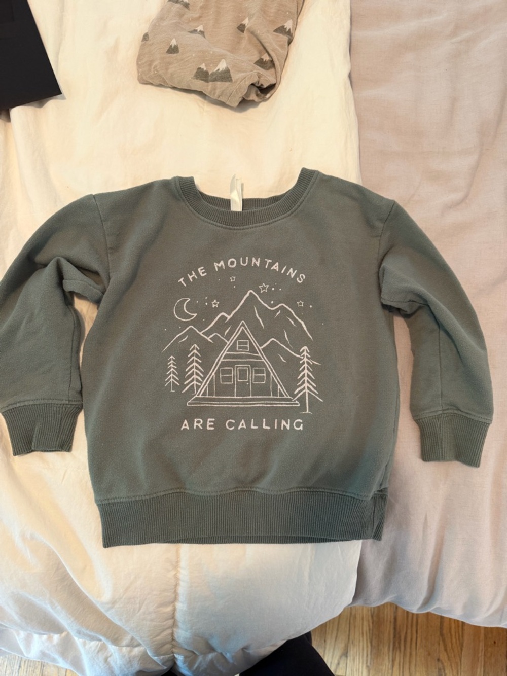 Rylee + Cru Kids Sage Green Mountain Cabin Sweatshirt